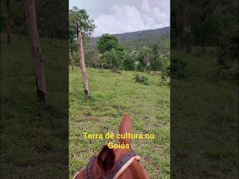 52 alqueire a venda em Goiás! ZAP 62 98212-8176 #fazenda #pecuarista #gado