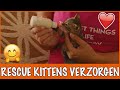 Curacao #6 - Kittens de fles geven | DierenpraatTV
