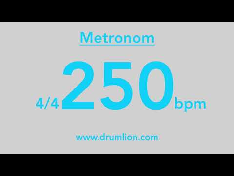 250 bpm - 4/4 | DRUMLION