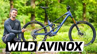 Orbea Wild eMTB