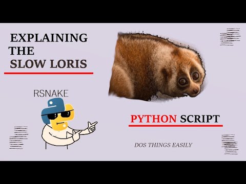 Mastering Slowloris.py: Python Guide to Launching an Effective Slowloris Attack
