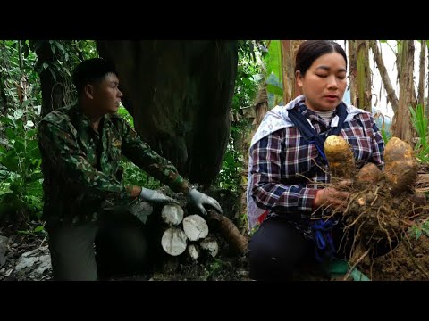 Zhao Long and Zi Yun found a strange dish and a rare herb.
