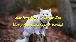Download lagu Learn to meow - Xue Mao Jiao【Belajar Bersuara Seperti Kucing】Xiao Feng Feng mp3 Download lagu Learn to meow - Xue Mao Jiao【Belajar Bersuara Seperti Kucing】Xiao Feng Feng mp3