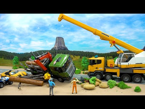 Kranwagen rettet Holztransporter! Polizeiautos und Rennauto~! BIBO TOYS