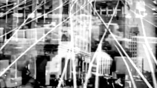 Petrels - Hinkley Point Balloon Release