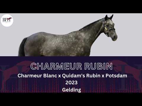 Charmeur Rubin