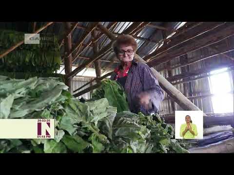 Instalan sistemas de riego en municipio de Consolación del Sur