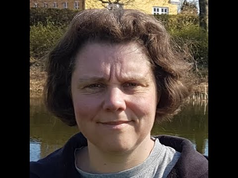 Hvad er kontanthjælp?