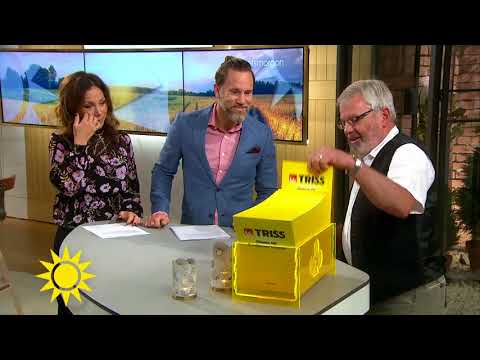 Dagens trissvinst: Delad glädje dubbel glädje - Nyhetsmorgon (TV4)