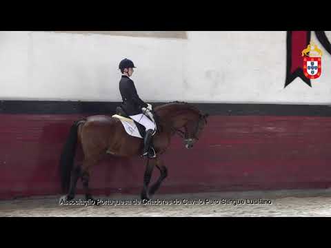 211023 12 Xahul - Aprovação de Garanhões