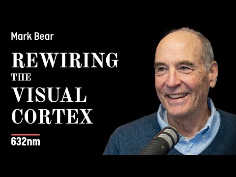 How Visual Experience Rewires the Brain | Mark Bear on Neuroplasticity