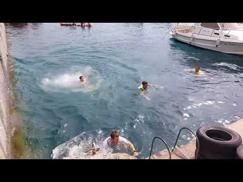 Balinjerada u Črišnjevi