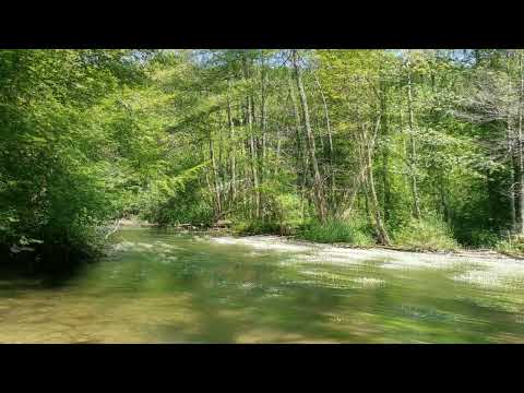 F1 ICD-10 Psychotrope Substanzen Abhängigkeit Sucht Prüfungsfragen Heilpraktiker*in Psychotherapie