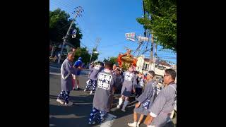 冨塚八幡宮 宮神輿 #shorts #short