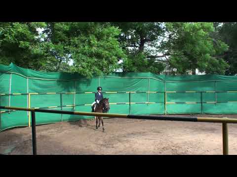 2019 8IQ 72 S CEC Tejesh Achin Chocolate EQB2