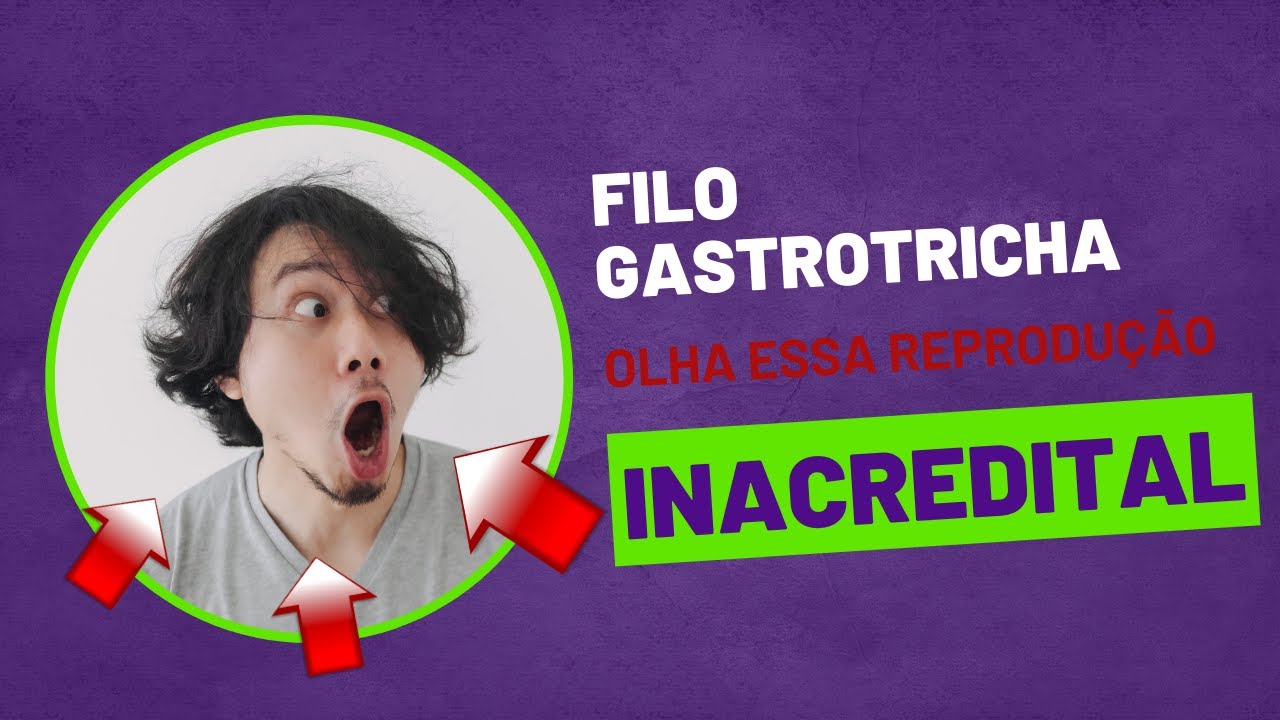 Seminário Zoologia - Filo Gastrotricha
