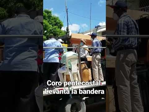 Coro Pentecostal - Levanta la Bandera #shorts