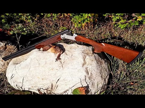 Stevens 555 Over-And-Under Shotgun