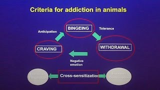 The Case For and Against Food Addiction, with Robert Lustig