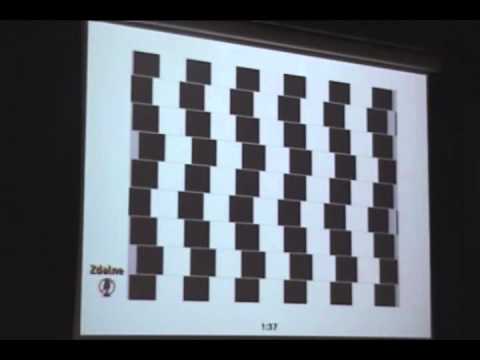 Współczesne rozumienie metody empirycznej, Zbigniew Liana (Nauka i wielkie pytania I/6)