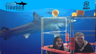 DIA 3 Expo Tiburon143