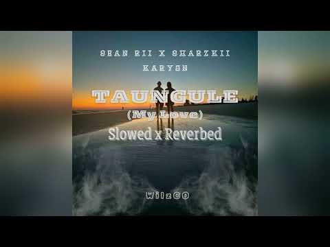 Sean Rii x Sharzkii x Karyon - TAUNGULE (Slowed x Reverbed) [By WilzCo]