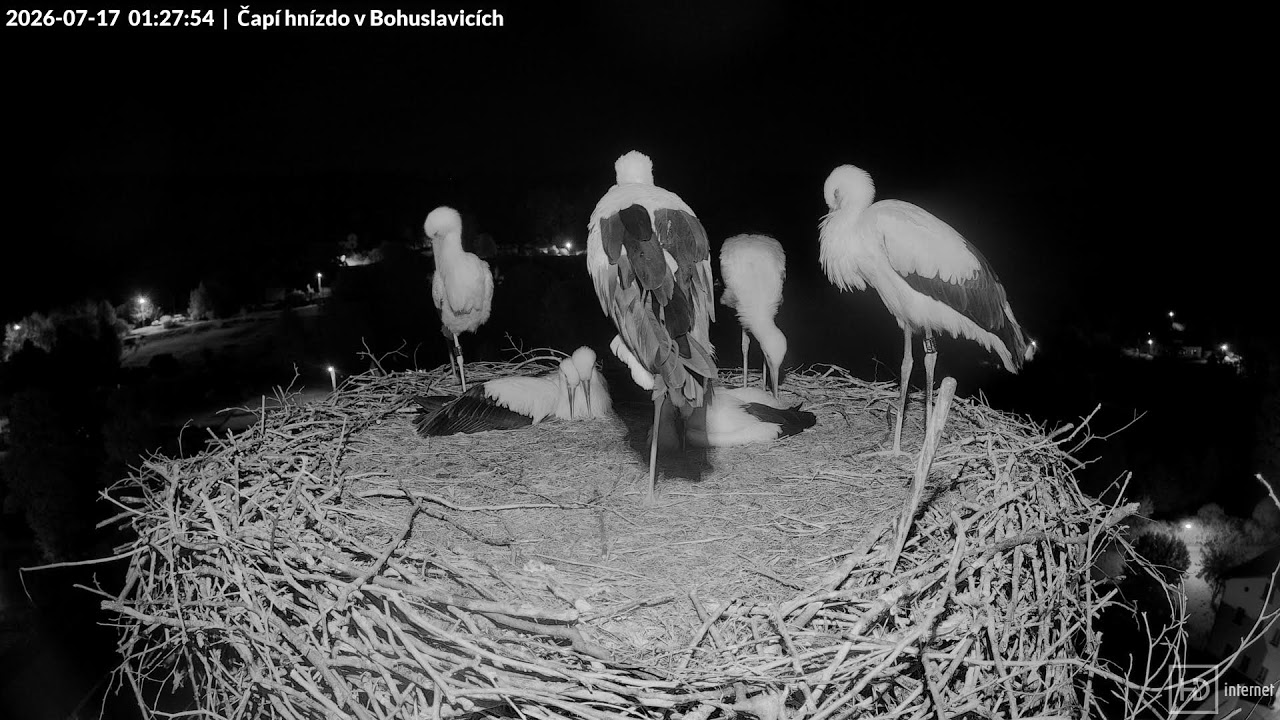 Live webcam view of Nido de Cigüeñas en Bohuslavice