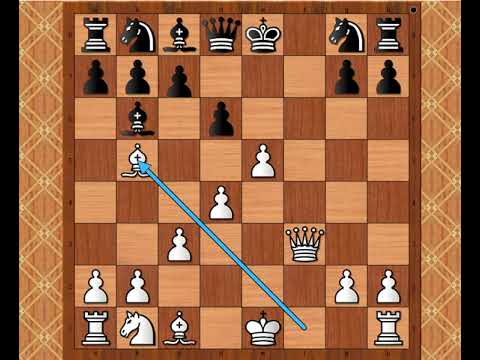 Brzi razvoj uz inicijativu u napadu ☆ BRANCH vs GRUER # 2310