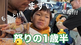 可愛さもイライラもマックス！1歳半の赤ちゃんとの旅行Vlog