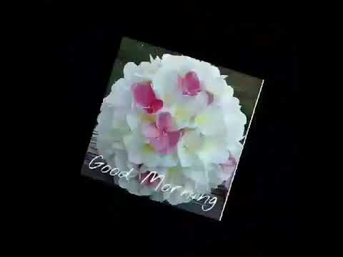 .mata kadulu denna apa rattharan ...