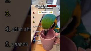 Miniature vidéo