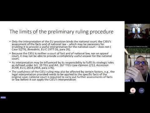 Márton Varjú - National judges and human rights protection