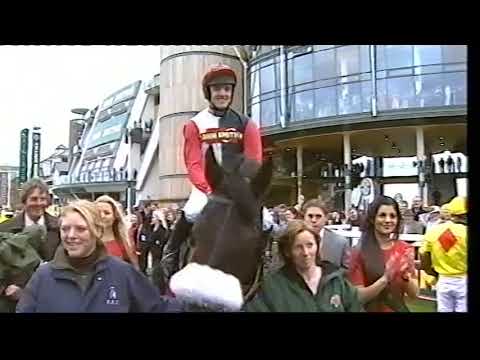 2008 Mildmay Novice Chase - Aintree meeting