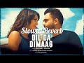 Dil Da Dimaag | Slowed Reverb | Lofi Song | Sharry Maan | Inder Dhammu | Punjabi Song | SR Music |