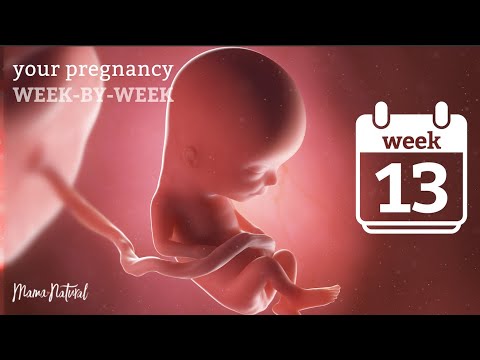 13 Weeks Pregnant - Natural Pregnancy Week-By-Week
