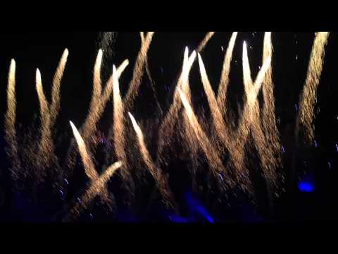 Tomorrowland Brazil 2015 Steve Angello Children of the wild