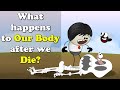 What Happens To Our Body After We Die More Videos Aumsum Kids Science Education Children