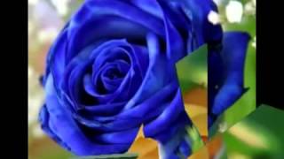 Nat Kin Cole   Maria Elena Tuyo es mi corazon