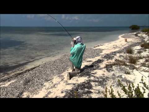 Fluefiskeri ved Cuba efter lemon shark, snook, tarpon og bonefish