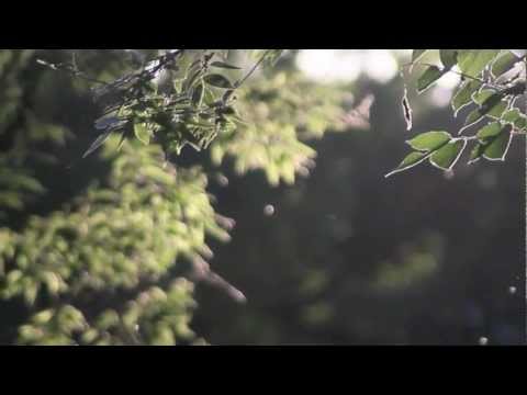 Michael Logozar - The Sun Will Shine