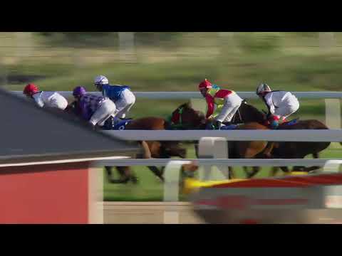 2018.06.18 Stockholm Arabian Cup (SWE) - Al Mounteze Monlau