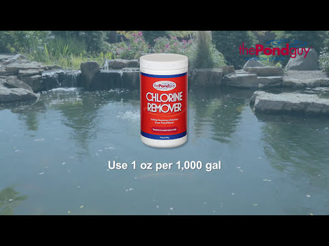 The Pond Guy® Chlorine Remover