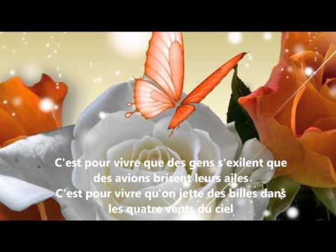 Céline Dion - C'est pour vivre (Lyrics)