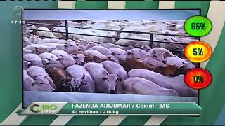 Miniatura do vídeo