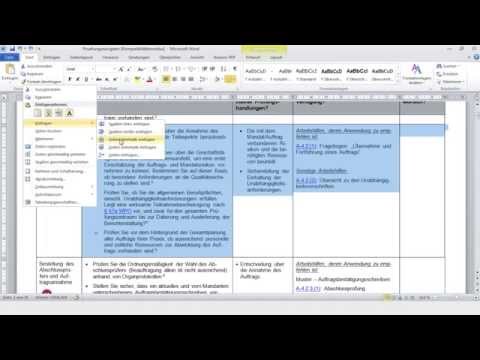 IDW Prüfungsnavigator Folge 3: Prozess-Schritte anpassen