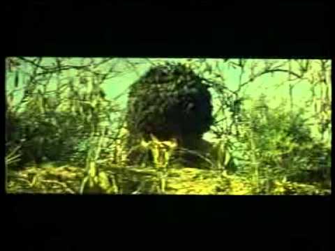 Laçyn- www.turkmenkino.com