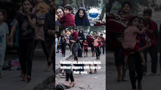 Support Palestine and raise your voice against your gvt. #palestine #gazaunderattack #gaza gaza