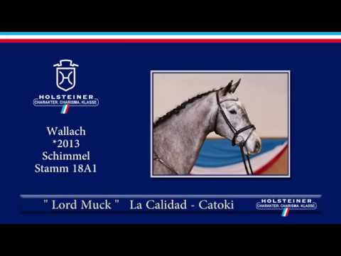 Holsteiner Frühjahrsauktion 2019 | Nr. 126 - Lord Muck v. La Calidad - Catoki