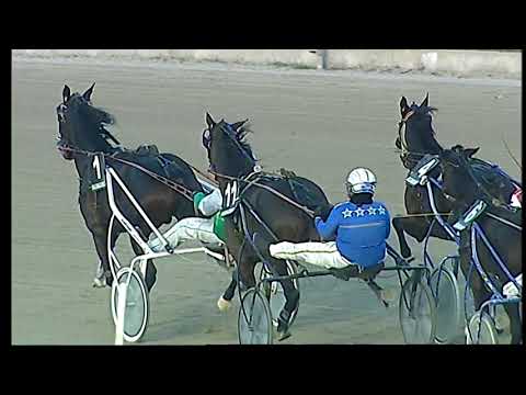 Napoli Trotto 21/11/2021 - 3ª corsa