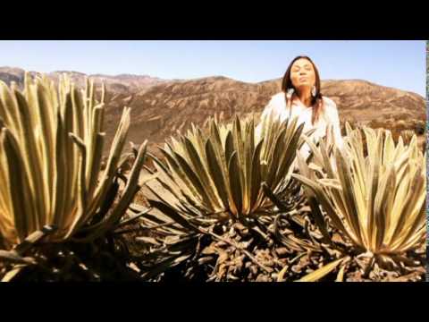 Nancy Ramos  Con nosotros esta Jehova